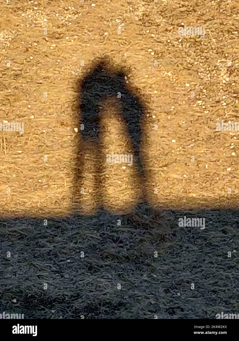 Hug shadow hi-res stock photography and images - Alamy