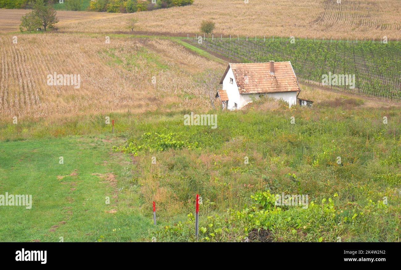 Small house on a telek (allotment), with vineyards, Balatonfokajar, Veszprem County, Hungary Stock Photo
