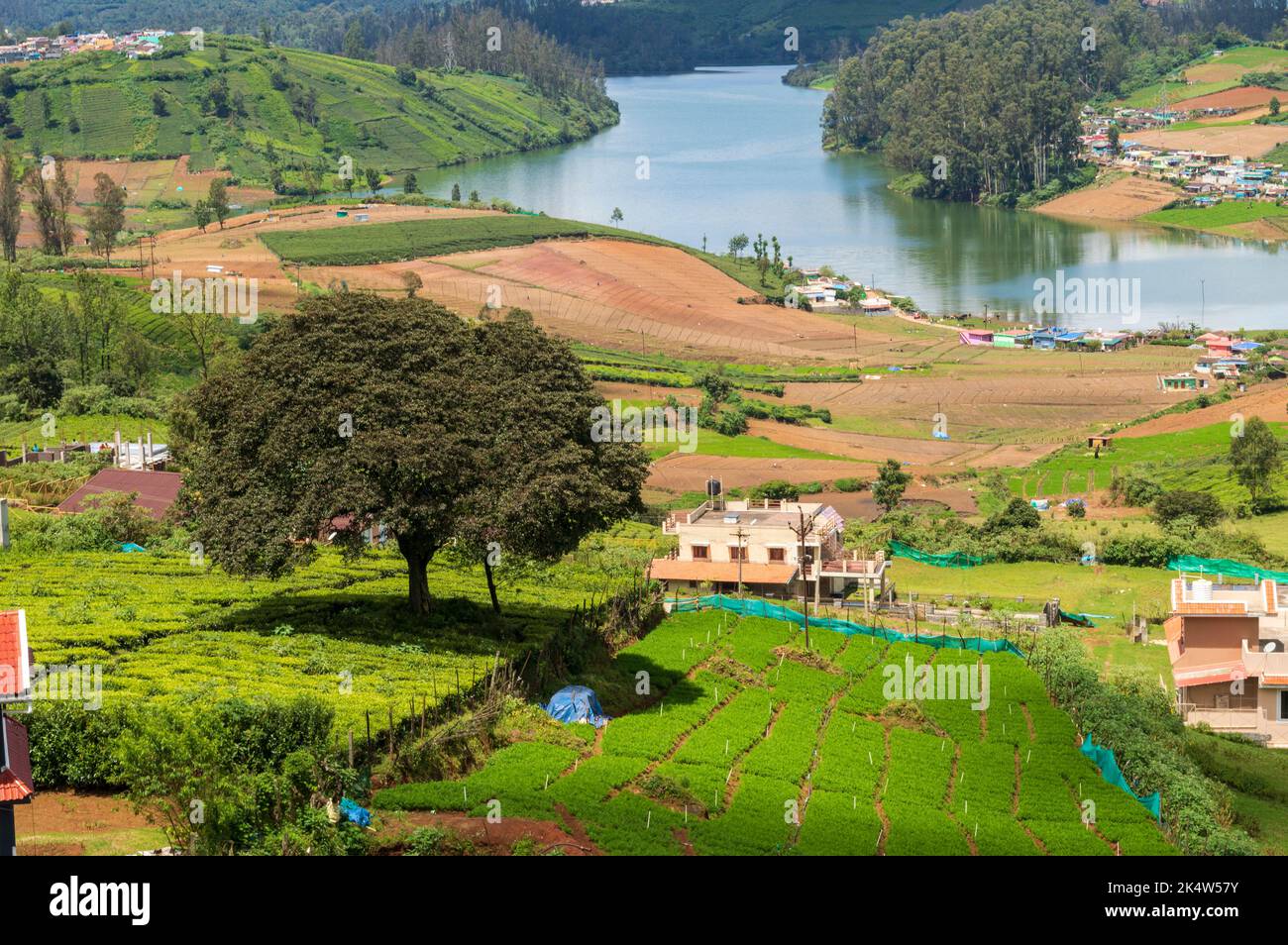 Towering mountains, carrot farm, river with visible small houses, blue