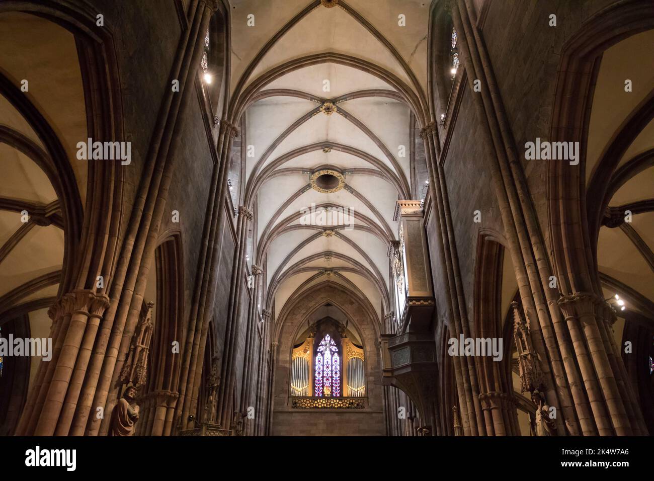 Freiburg Minster, cathedral, Freiburg im Breisgau, Baden-Wuerttemberg, Germany. Freiburger Muenster, Kathedrale, Freiburg im Breisgau, Baden-Wuerttemb Stock Photo