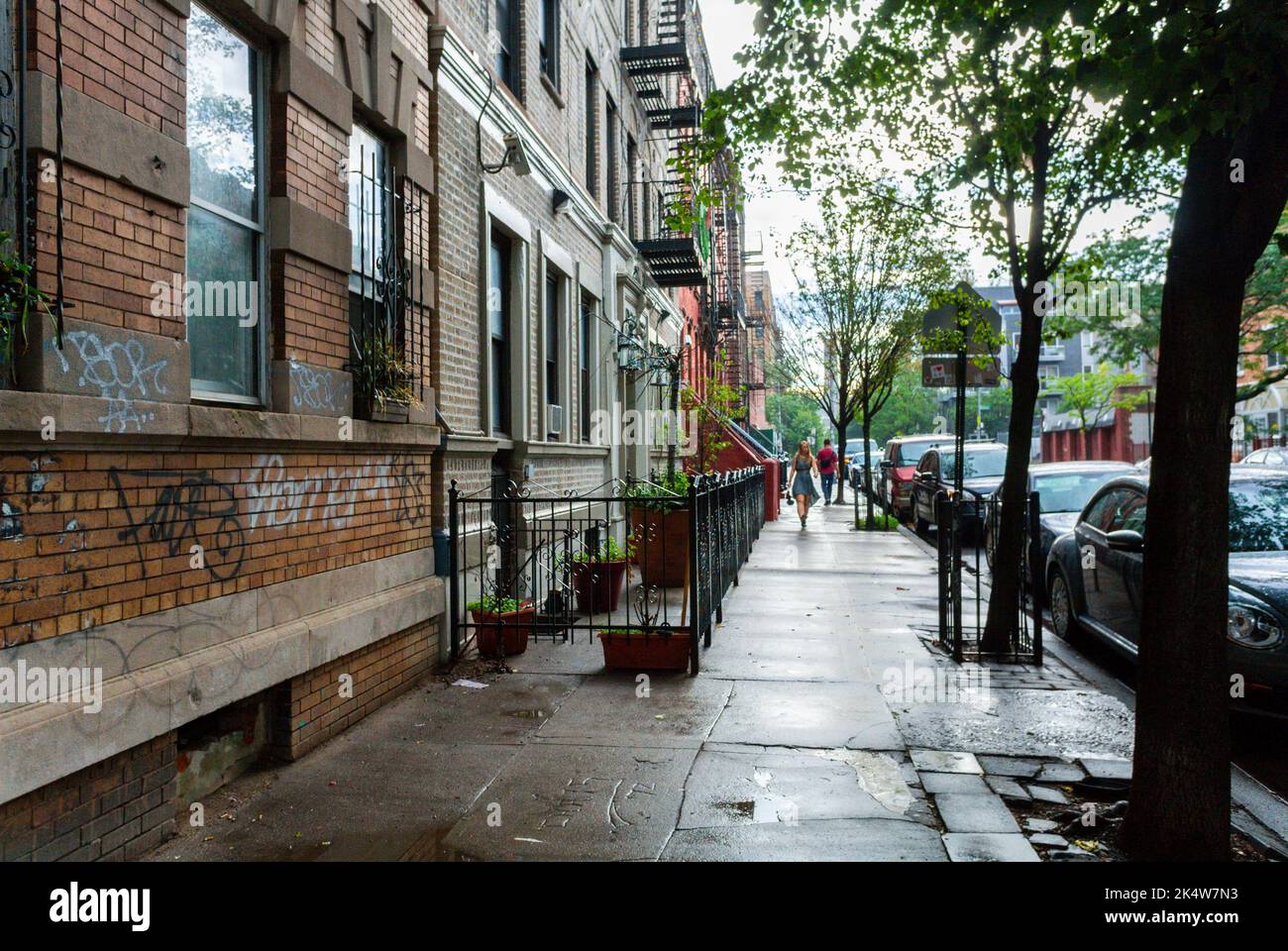 New York City, NY, USA, Street Scene, Brownstone Houses, Brooklyn, Williamsburg Stock Photo
