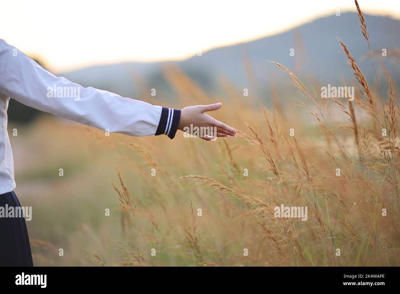 Asian High School Girls student hand touch grass in countryside with sunrise Stock Photo