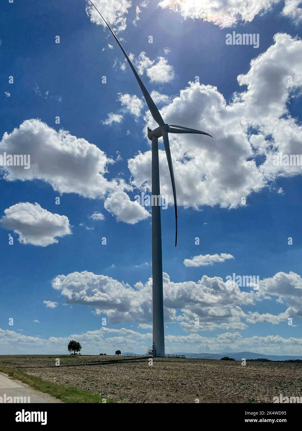 Wind turbine in a field, Genzano di Lucania, Basilicata, Italy Stock Photo