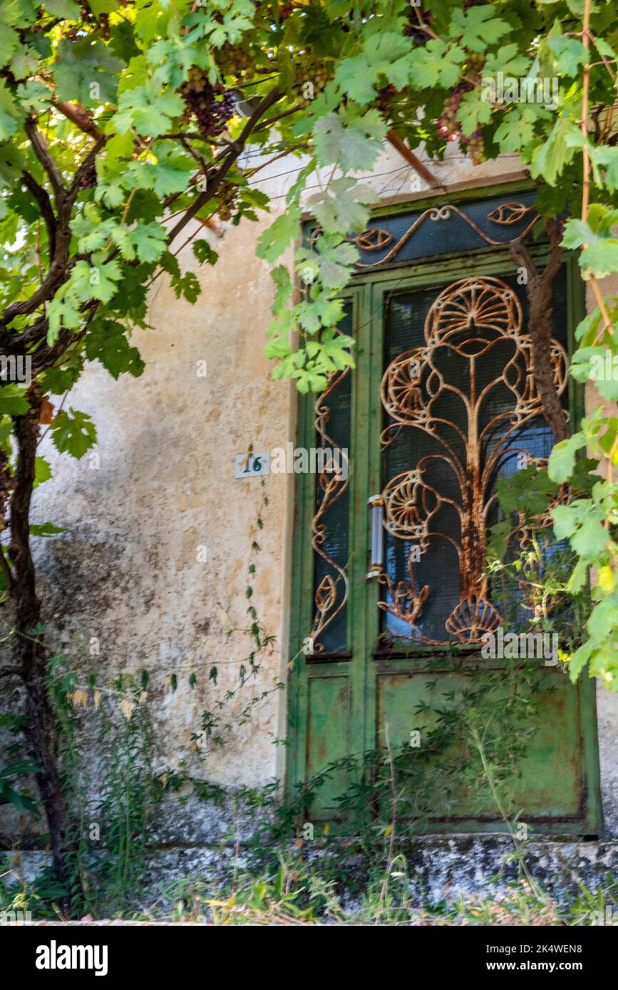 old derelict greek door covered with vines on an old abandoned building on the greek island of zante or zakynthos villages of agalas. Stock Photo