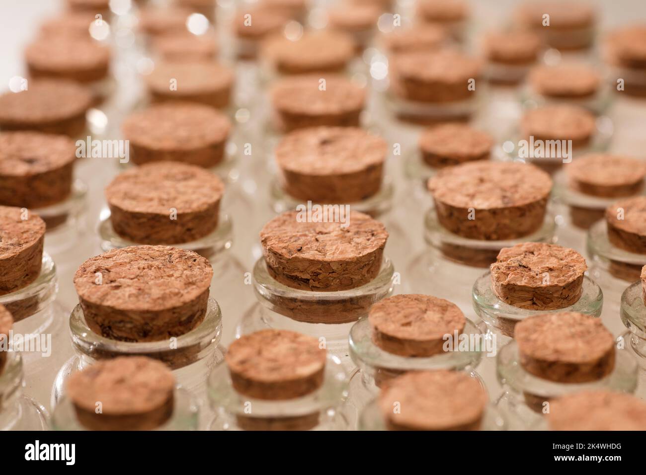 glass jars with corks, soft green background Stock Photo