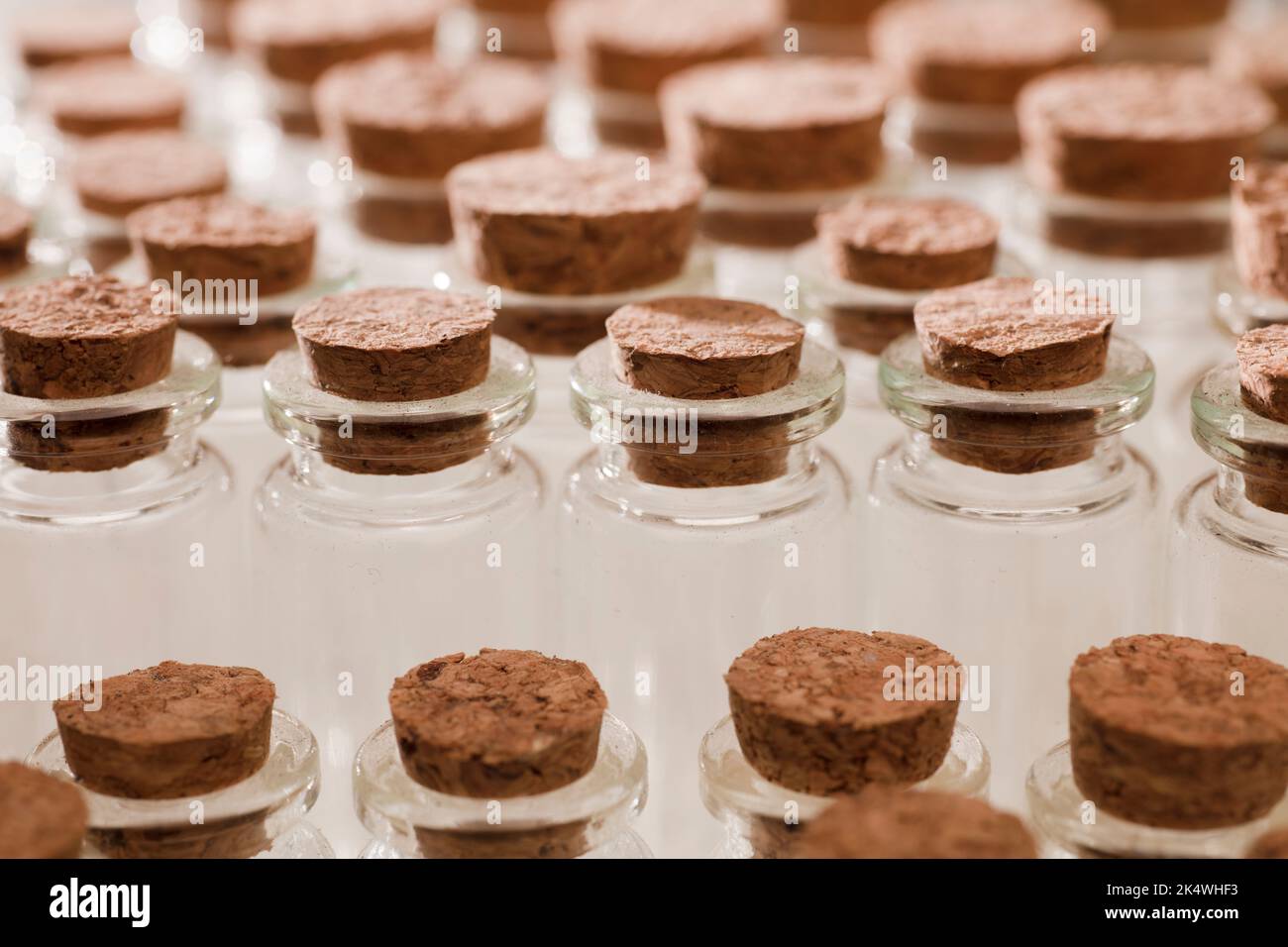 glass jars with corks, soft green background Stock Photo