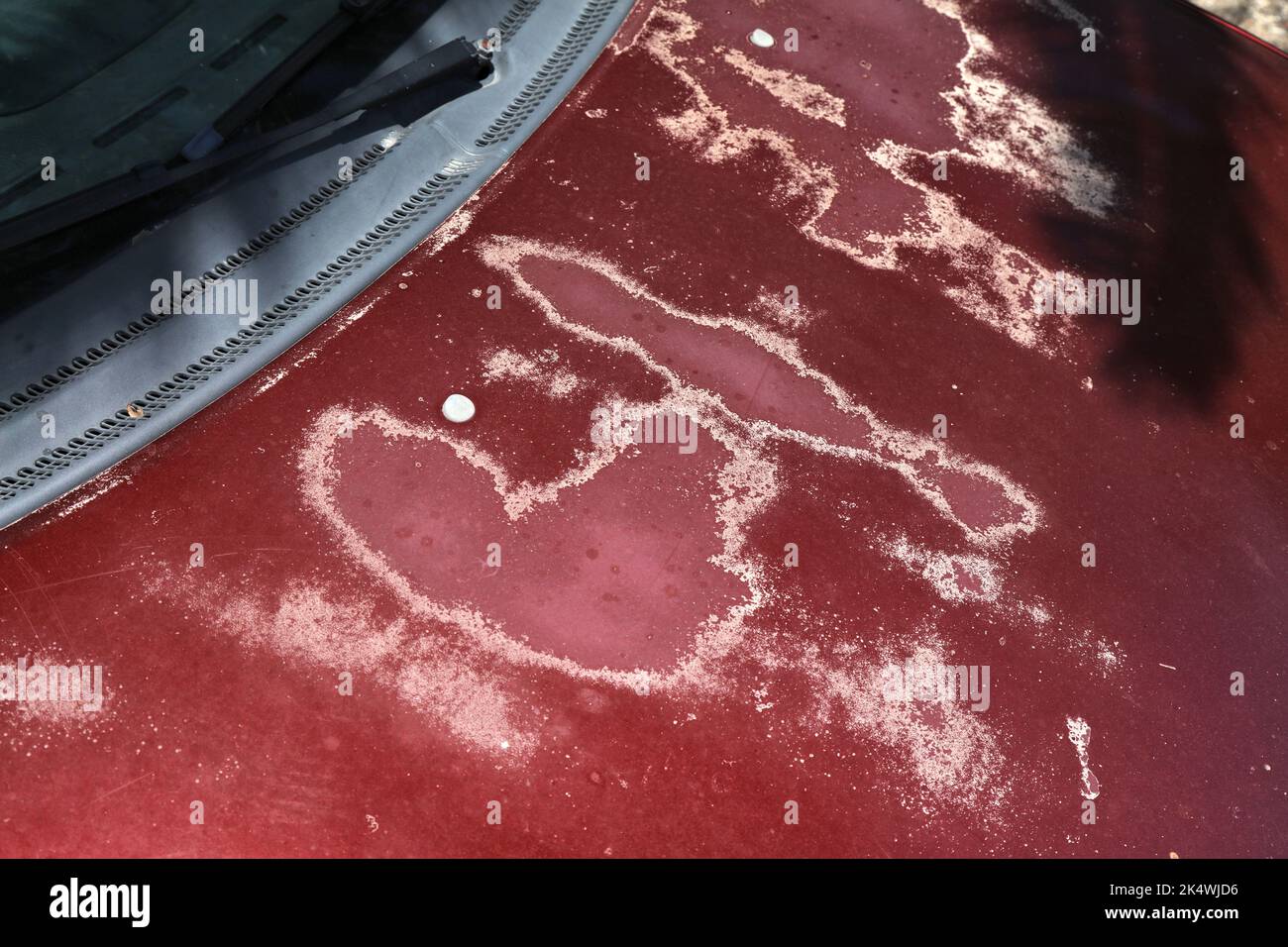 Weather damaged car hood paint coat. Peeling sun damaged paint surface