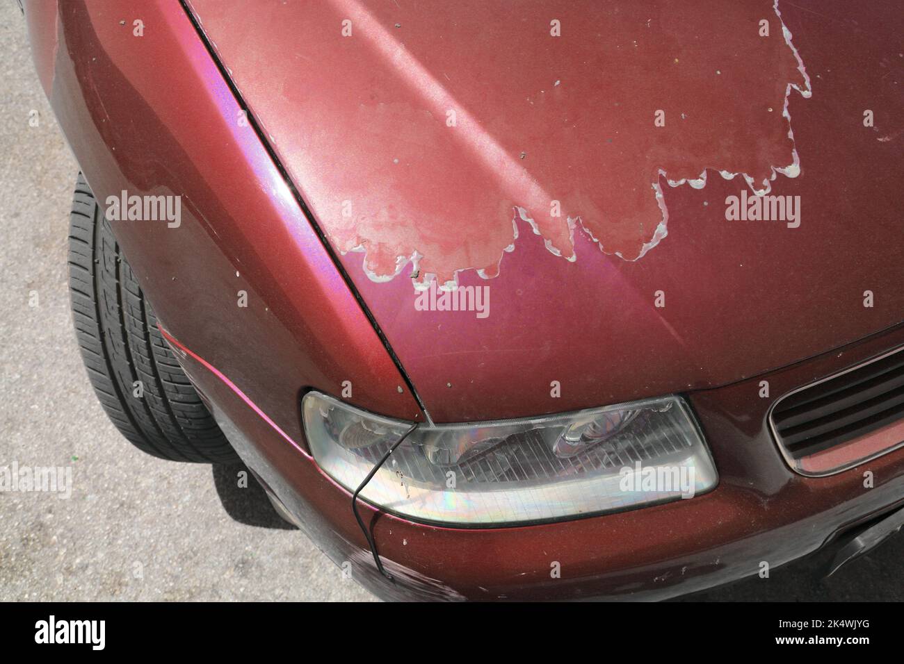 Weathered car paint peeling paint surface in a 15 year old compact red car Stock Photo Alamy