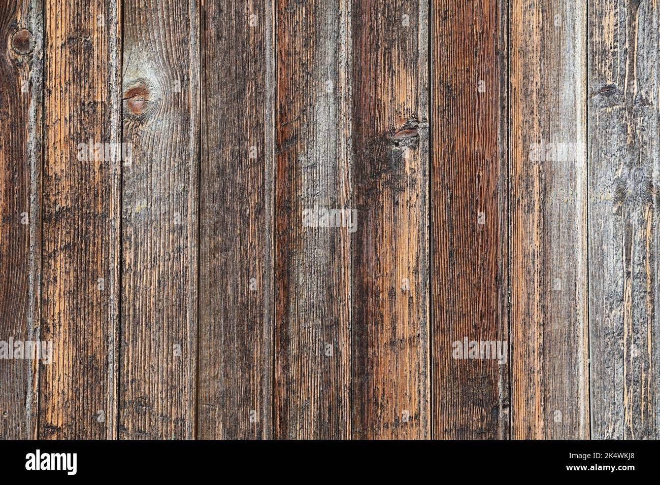 Hardwood texture. Old wooden door background. Wood texture Stock Photo