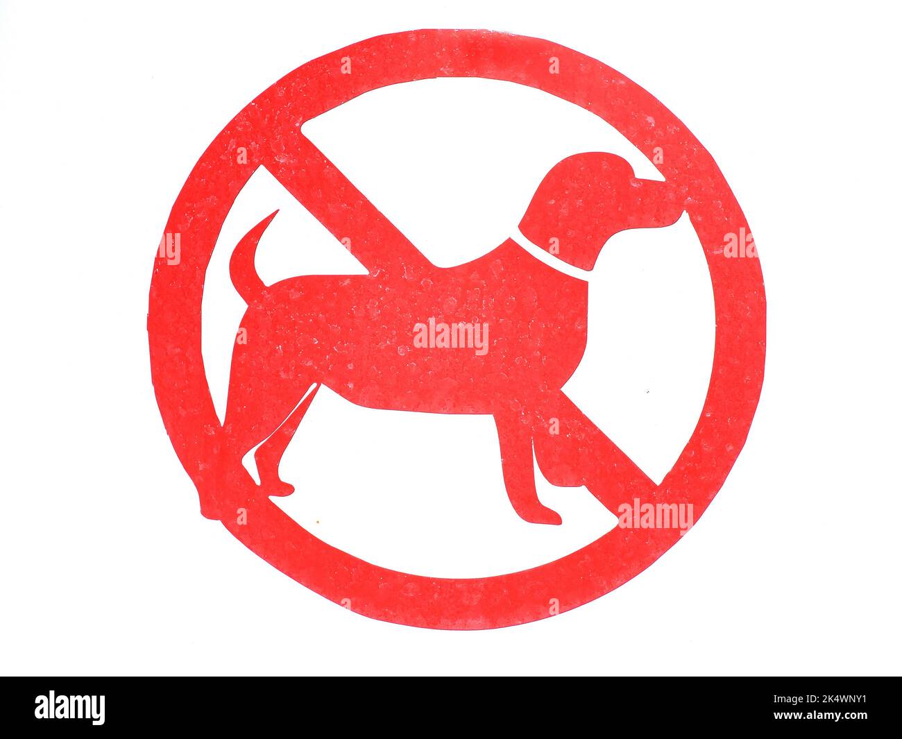 No dogs allowed sign in red and white Stock Photo