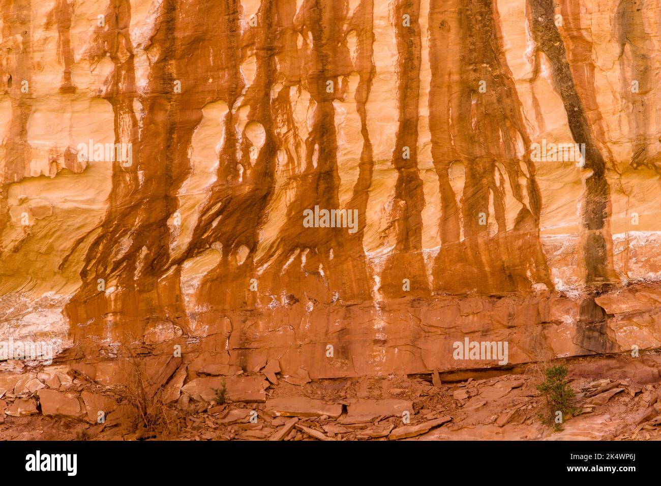 Colorful stripes of desert varnish mineral deposits on the sandstone wall of Horse Canyon, Needles District, Canyonlands NP, Utah. Stock Photo