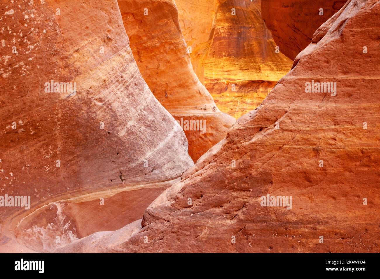 Curving walls of Holeman Slot canyon carved by rushing water over thousands of years in Canyonlands National Park, Utah. Stock Photo