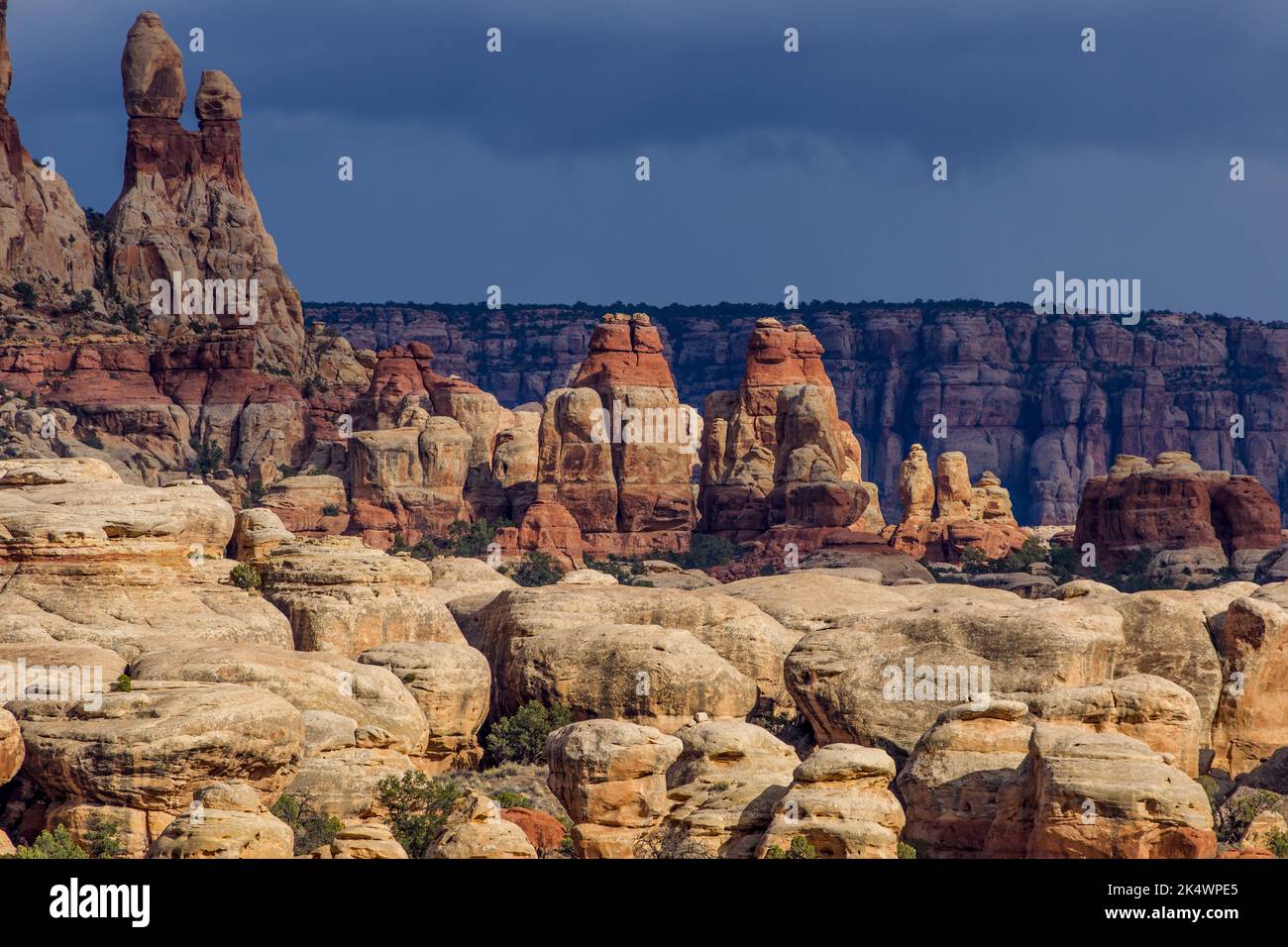Storm light on Cedar Mesa sandstone formations in the Needles District, Canyonlands National Park, Utah. Stock Photo