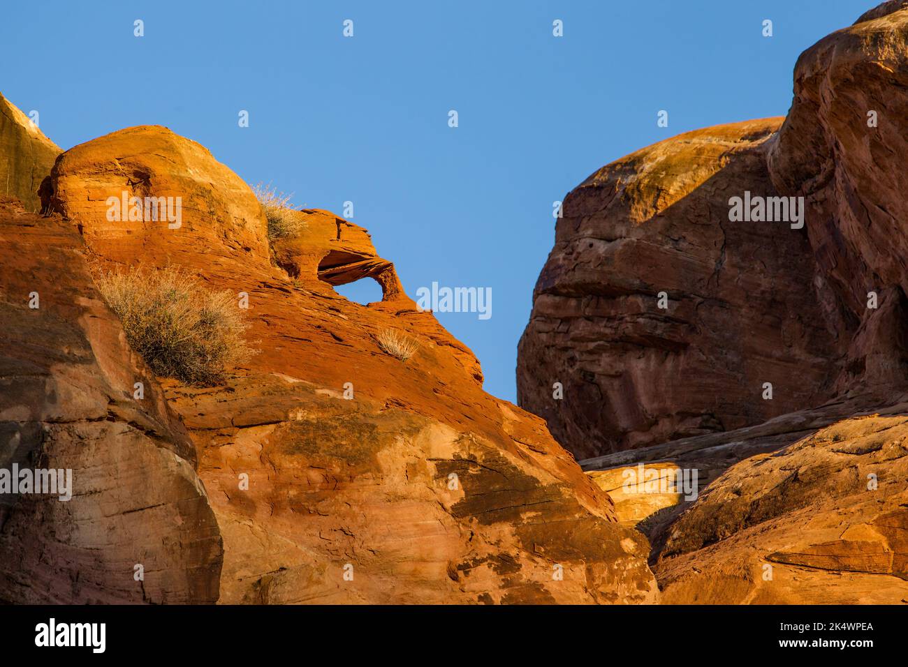 A small arch in a Cedar Mesa sandstone formation in the Needles District of Canyonlands National Park, Utah. Stock Photo