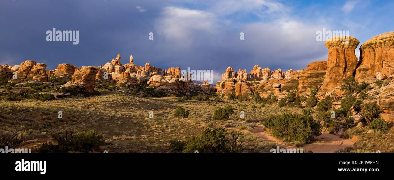 The Needles, Cedar Mesa sandstone spires, with a stormy sunrise in the Needles District of Canyonlands National Park, Utah. Stock Photo