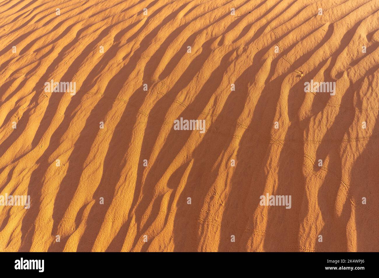 Ripple patterns in the sand dunes at the White Wash Dunes Recreation Area near Moab, Utah. Stock Photo