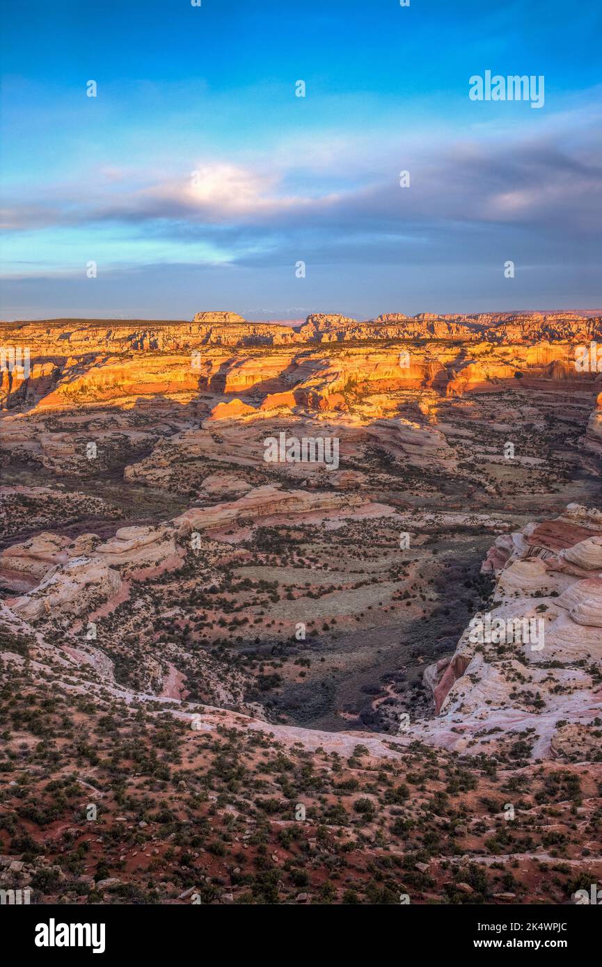 Sunrise view of the Needles District of Canyonlands NP from the Big Pocket Overlook on Cathedral Point.  Utah. Stock Photo
