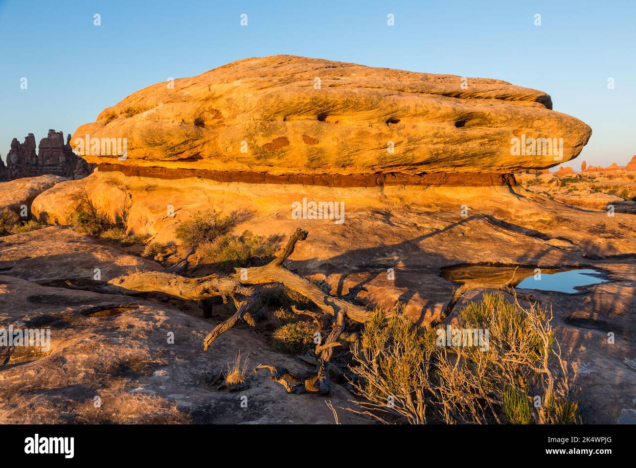 Sunrise light on Cedar Mesa sandstone rock formations in the Devil's Kitchen area in the Needles District of Canyonlands NP, Utah. Stock Photo
