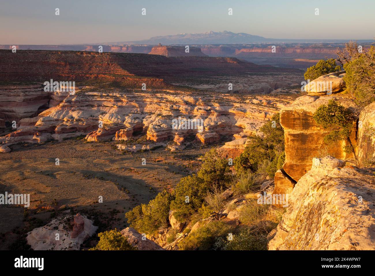 Sunrise view of the Needles District of Canyonlands NP from the Big Pocket Overlook on Cathedral Point.  Utah.  La Sal Mountains behind. Stock Photo