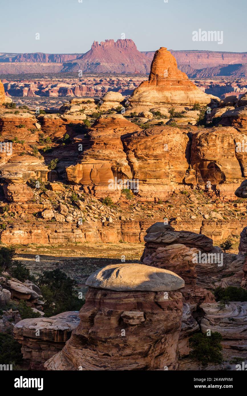 Sunrise light on Cedar Mesa sandstone rock formations in the Devil's Kitchen area in the Needles District of Canyonlands NP, Utah.  Elaterite Butte in Stock Photo