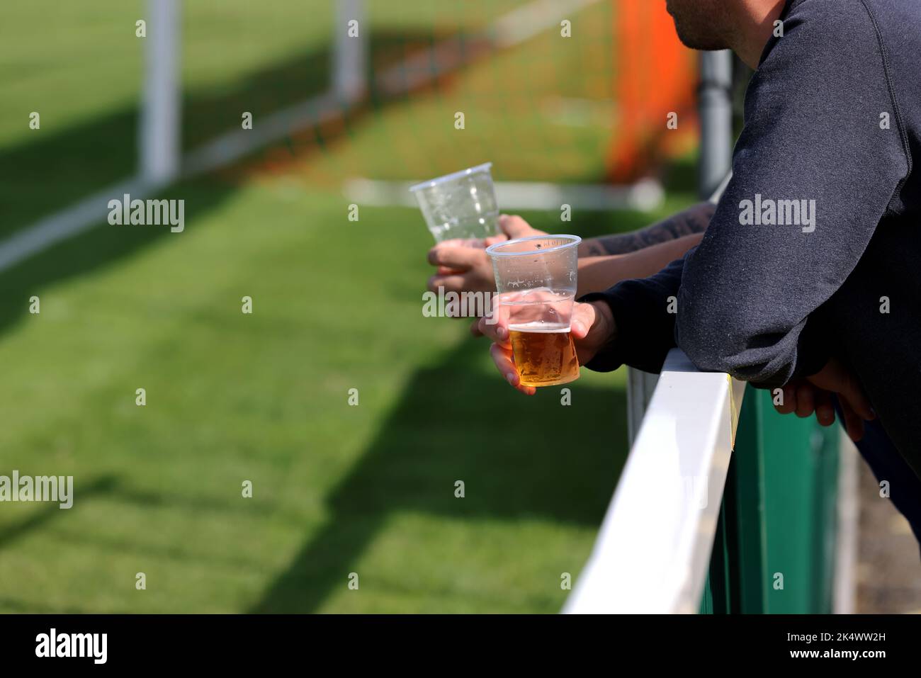 Men drinking beers at the football in West Sussex, UK Stock Photo Alamy