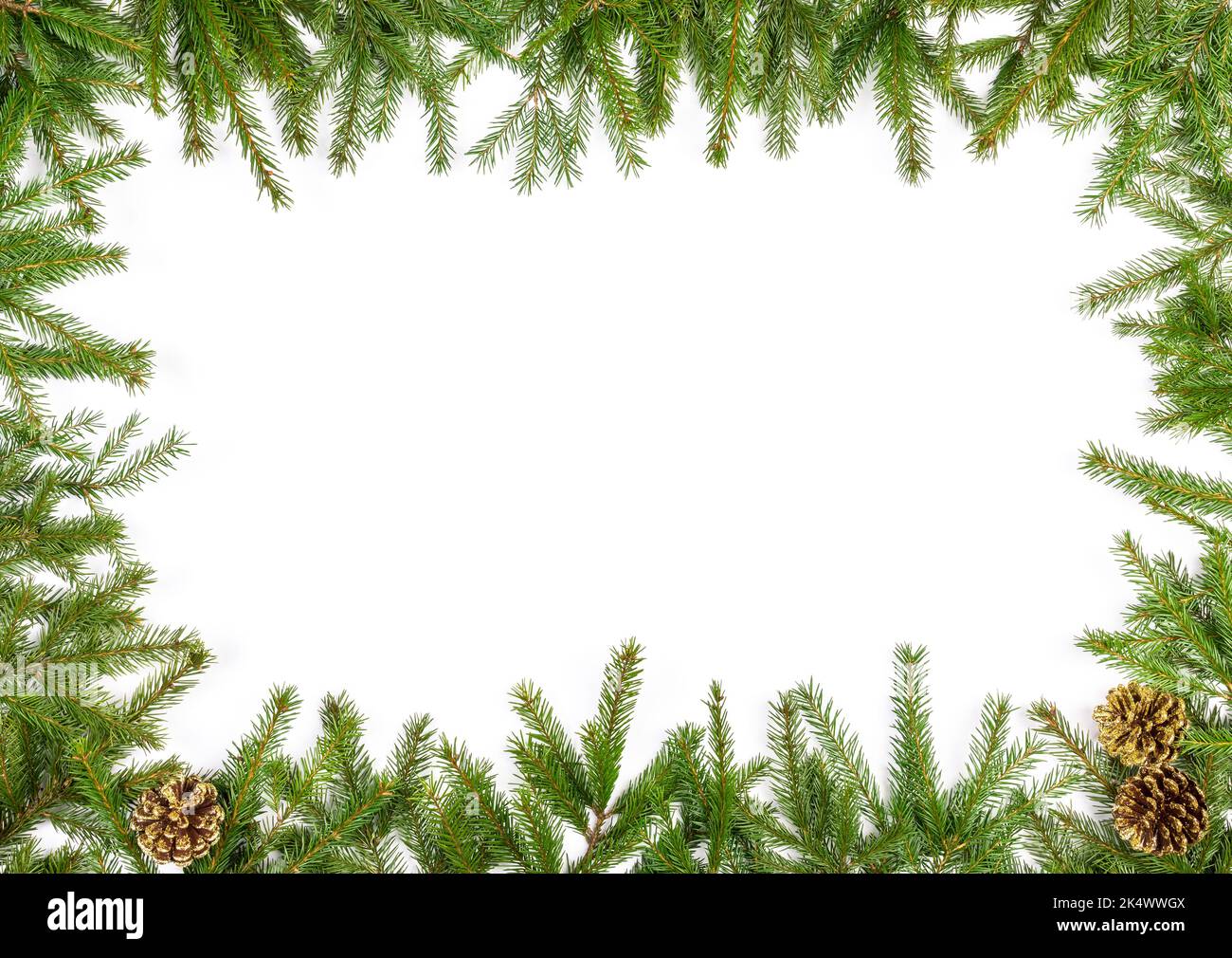 Simple Christmas frame made of fir branches and conifer cones on white ...