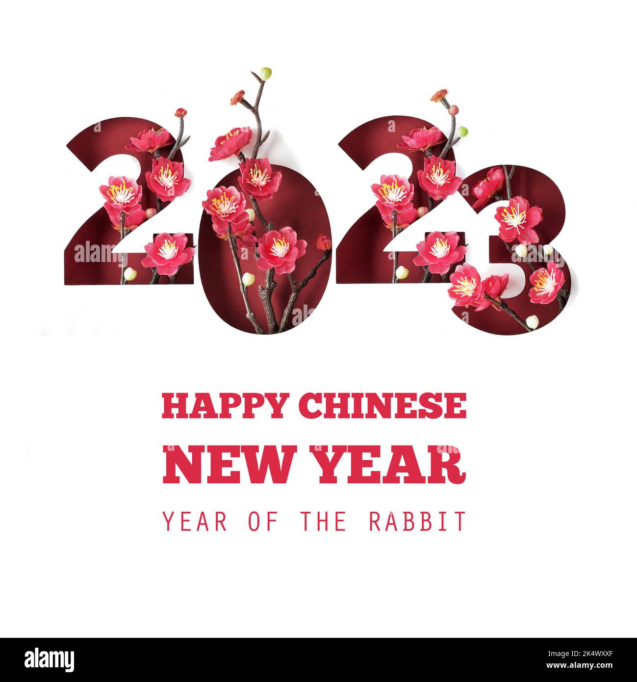2023 year of rabbit hi-res stock photography and images - Alamy