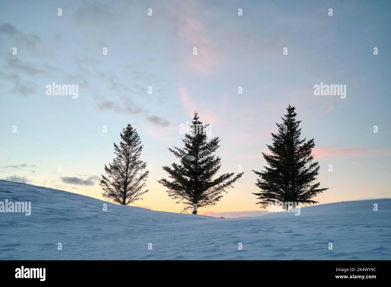 Snowy mountain slope in winter Stock Photo