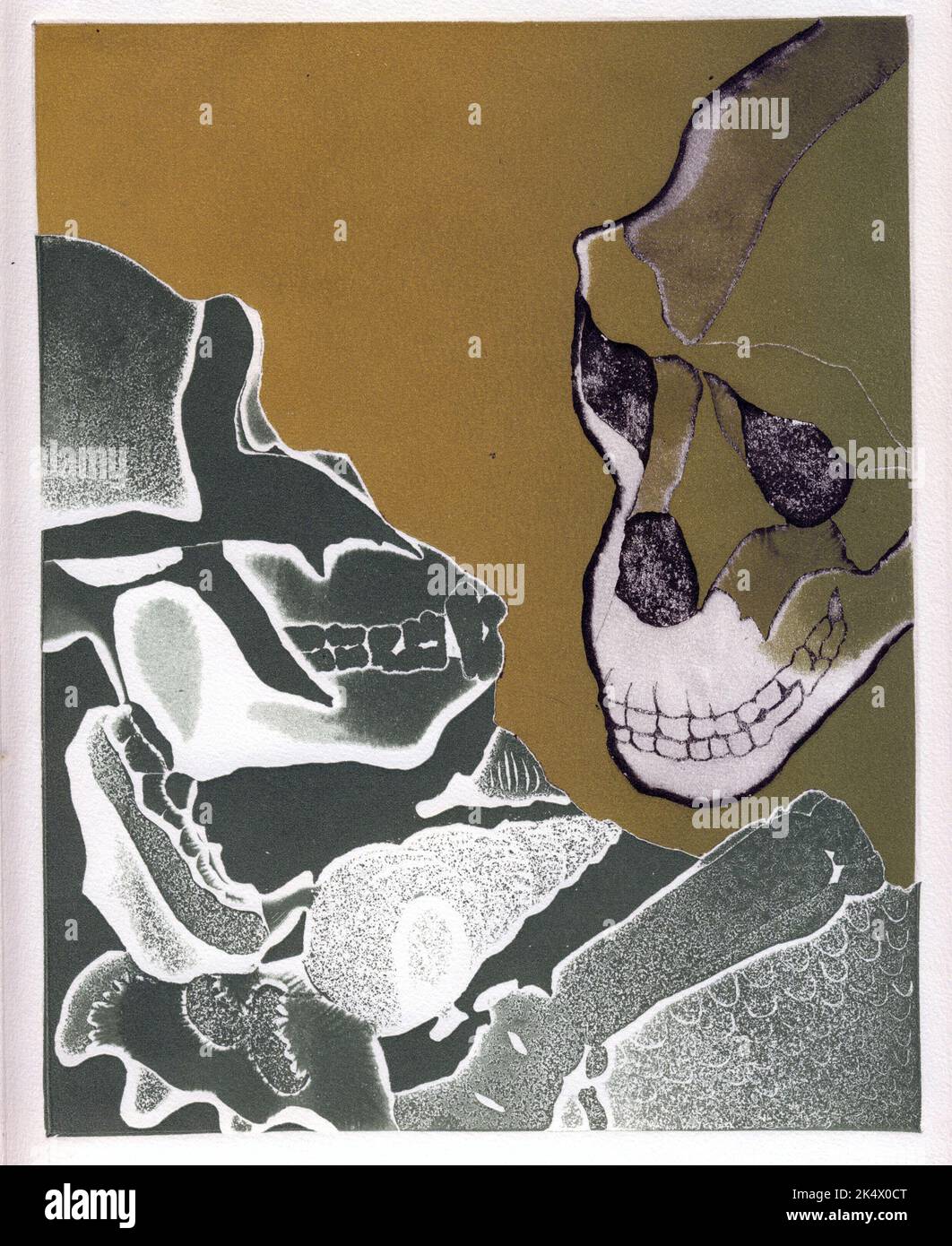 4 of 4 etchings showing two gorilla /hominid skulls, suitable for book cover, magazine art, evolution, biology, zoology, anthropology, history gothic Stock Photo