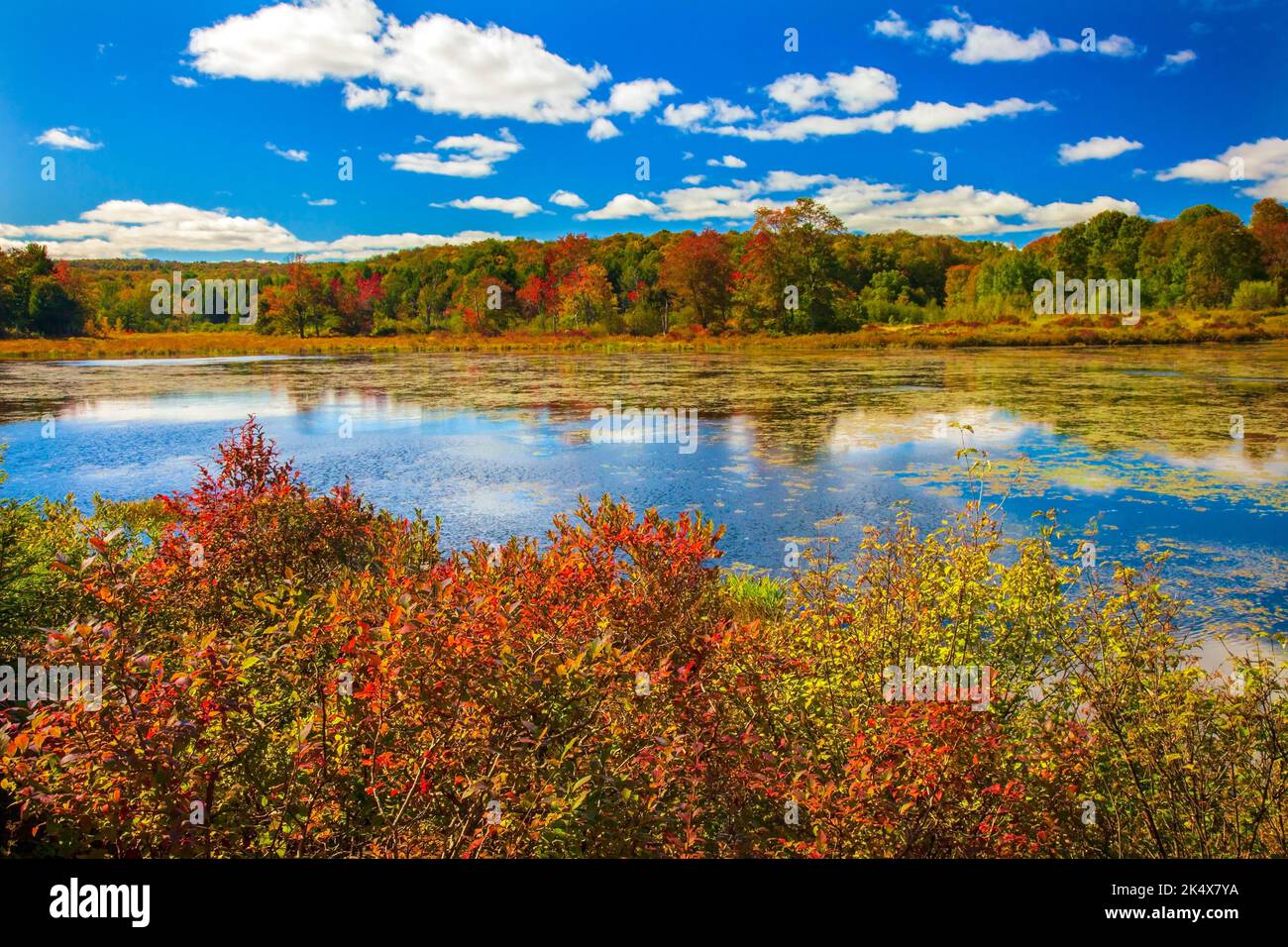 Browning Beaver Meadow is a 78-acre preserve is owned and maintained by