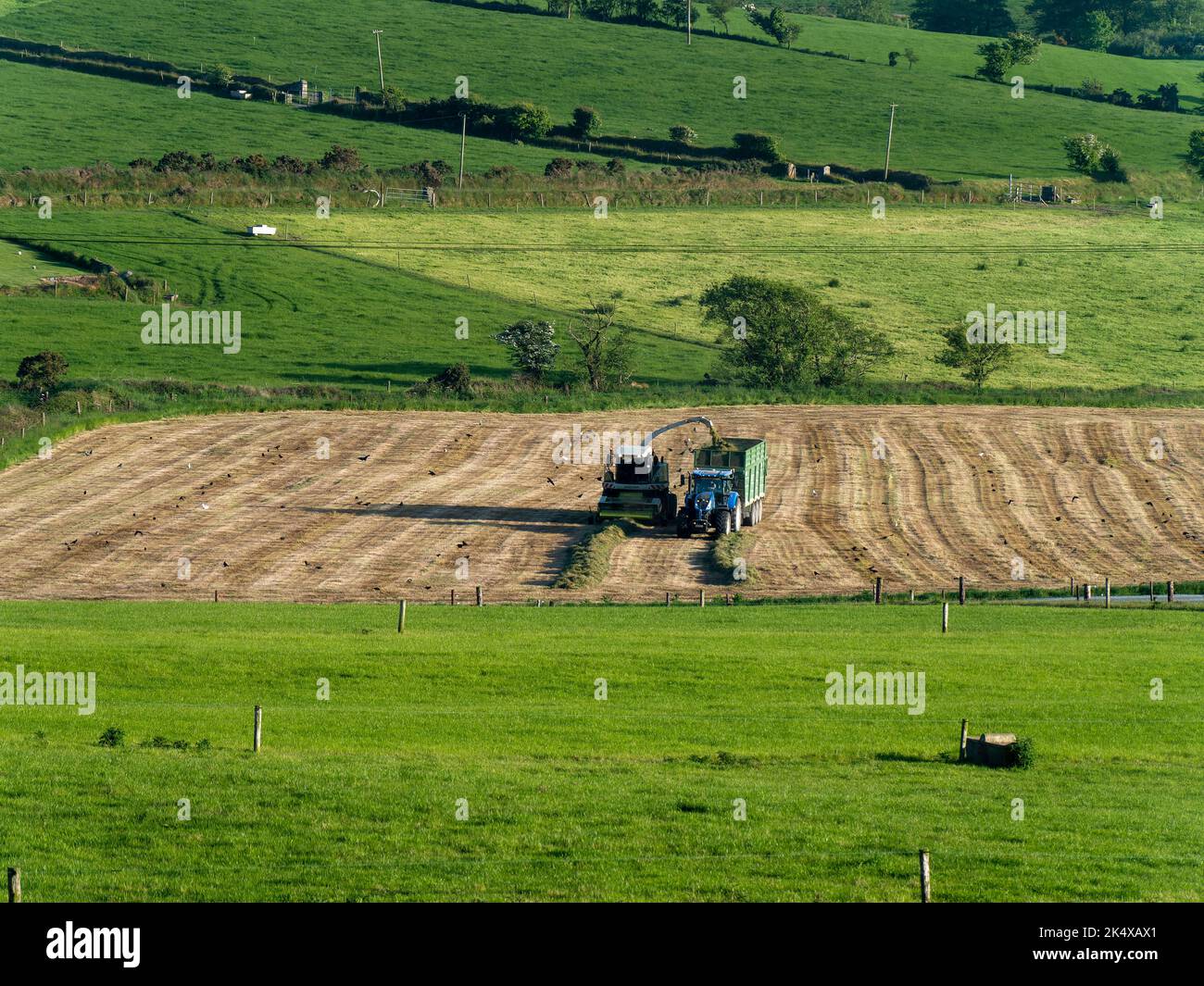County Cork, Ireland, May 28, 2022. An agricultural silo harvester