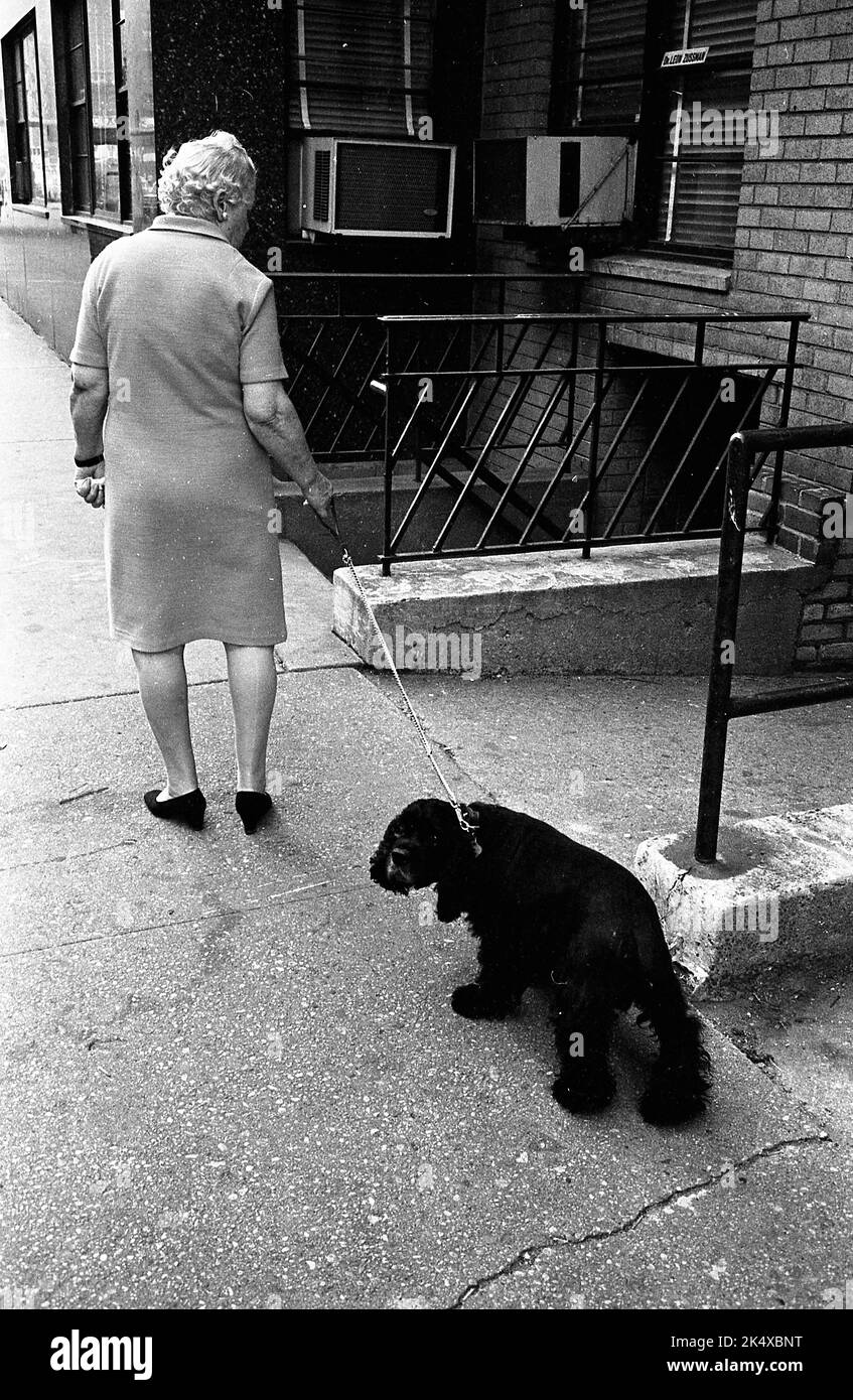 Old woman with dog Black and White Stock Photos & Images - Alamy