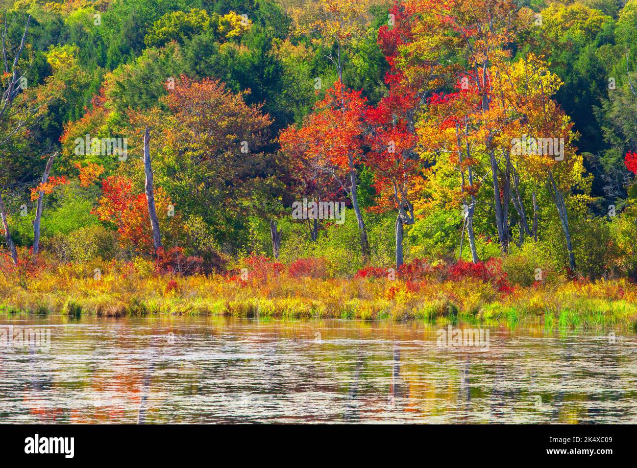 Browning Beaver Meadow is a 78acre preserve is owned and maintained by