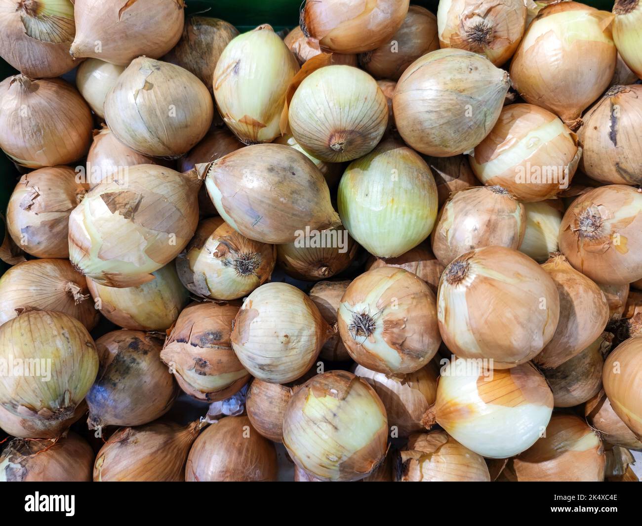 Close up of pile of dirty and unpeeled onions on display of a stall at