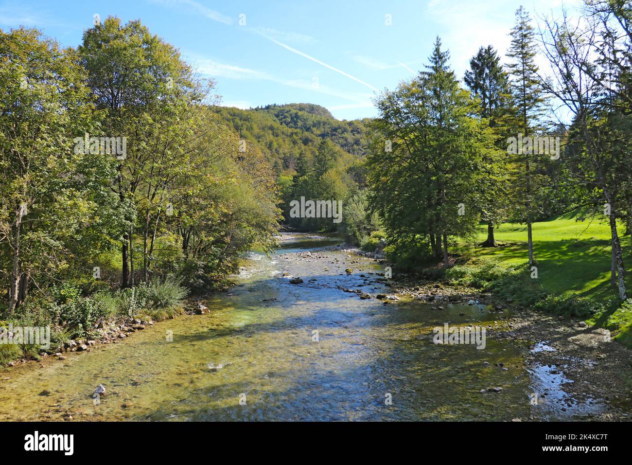 A rocky river surrounded by trees in the daytime Stock Photo - Alamy