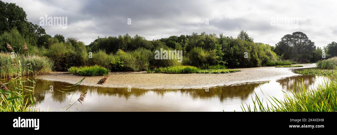 The Ornamental Lake on Southampton Common with large areas of mud exposed due to the drought in July and August 2022. Stock Photo