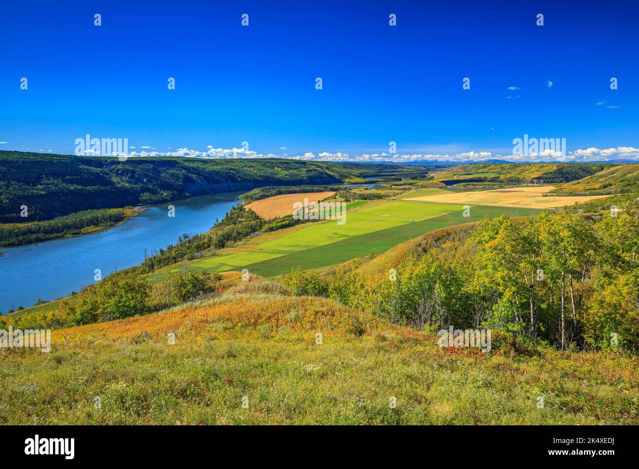 Farmalnd at Bear Flats in northern British Columbia that will be flooded by the construction of the Site C Dam on the Peace River. Stock Photo