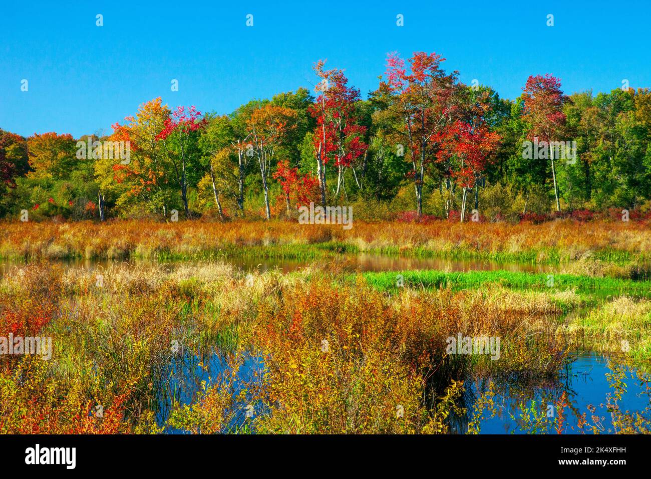 Browning Beaver Meadow is a 78acre preserve is owned and maintained by