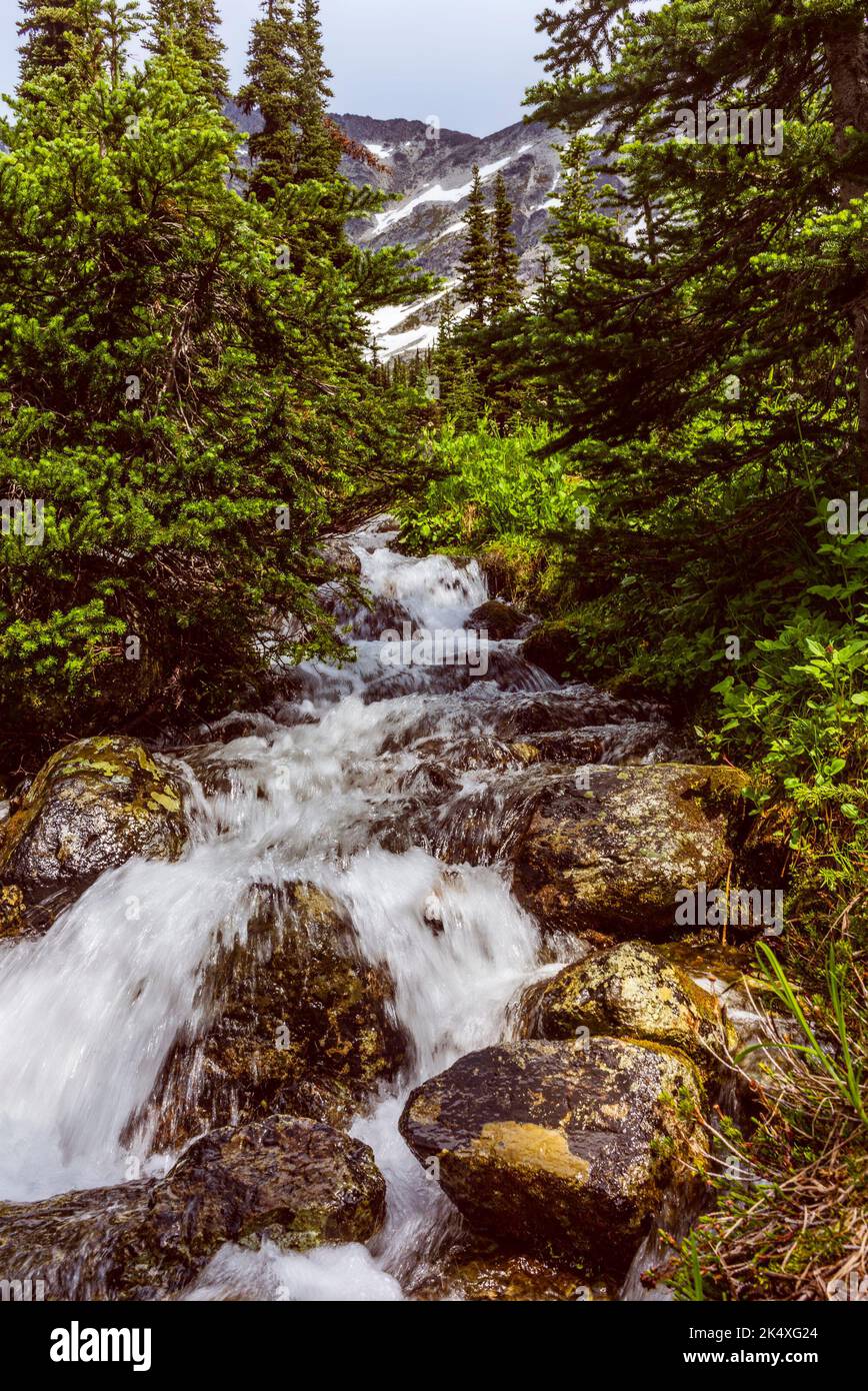 Hike to the Overlord Glacier lookout point near Whistler in Canada ...