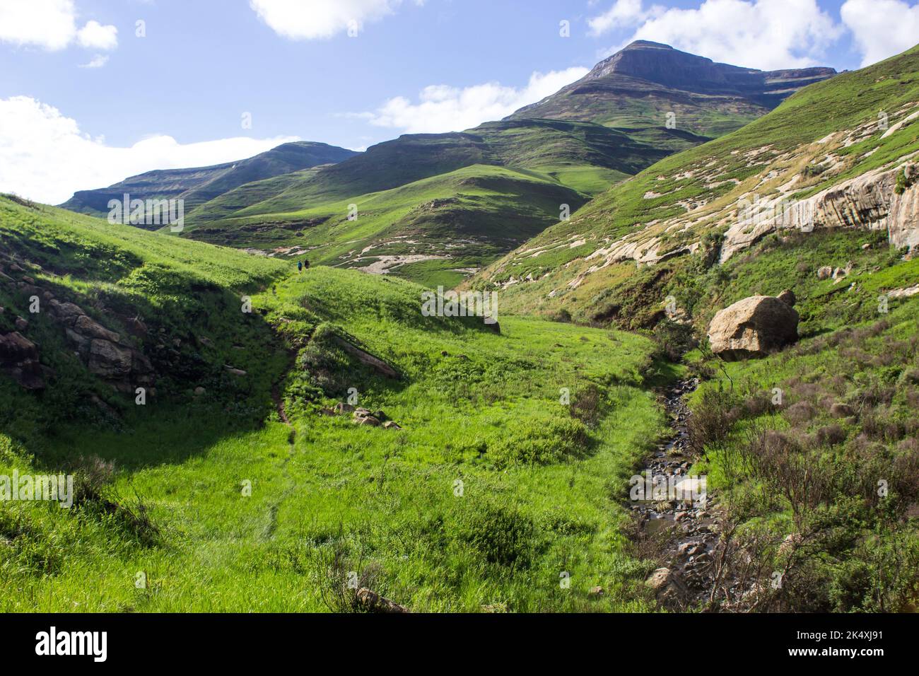 Picturesque view of a hiking trail next to a small mountain stream flowing through the green Drakensberg Mountains of South Africa in the summer Stock Photo