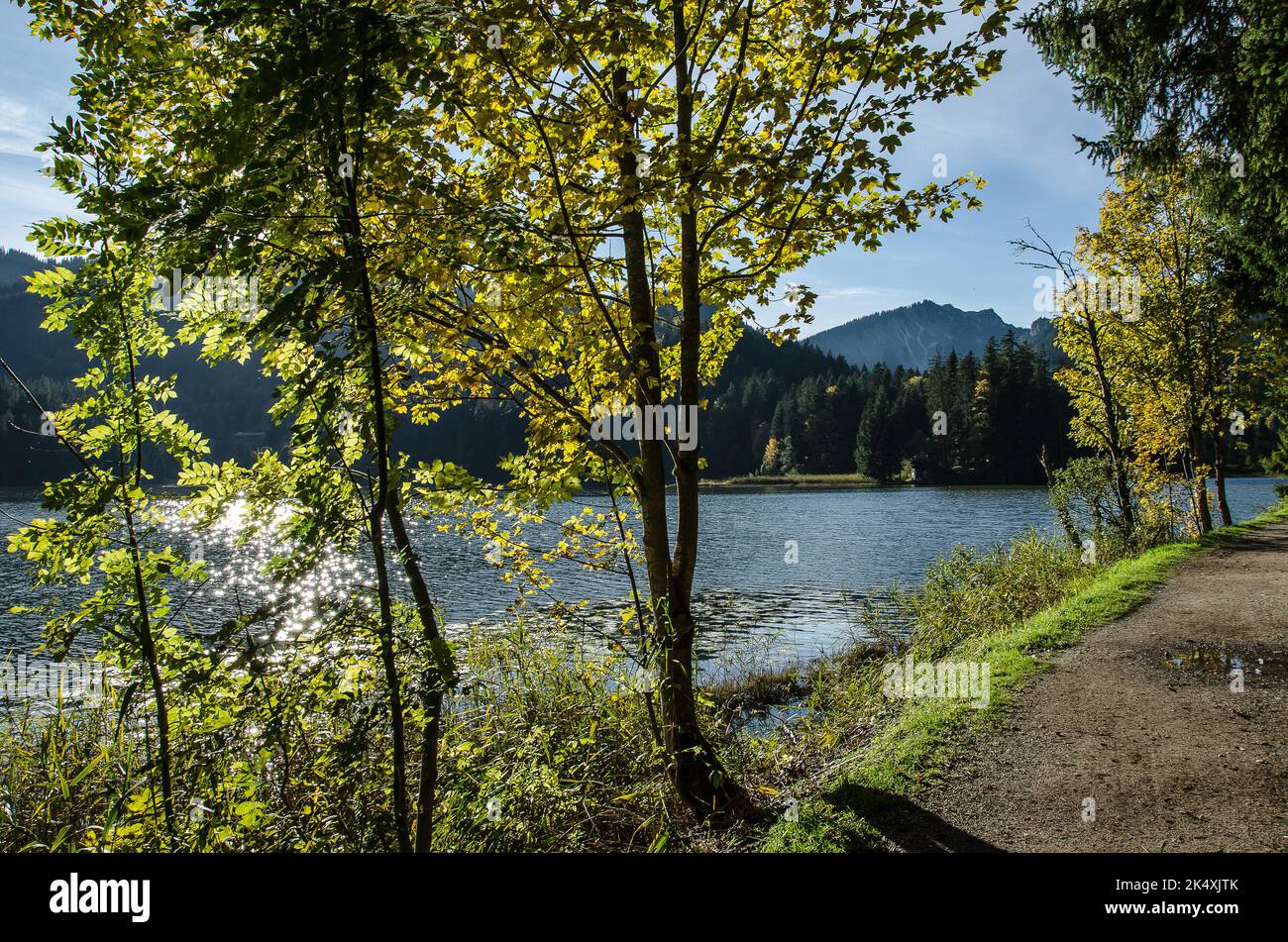 Autumn at Lake Spitzing in Upper Bavaria Stock Photo