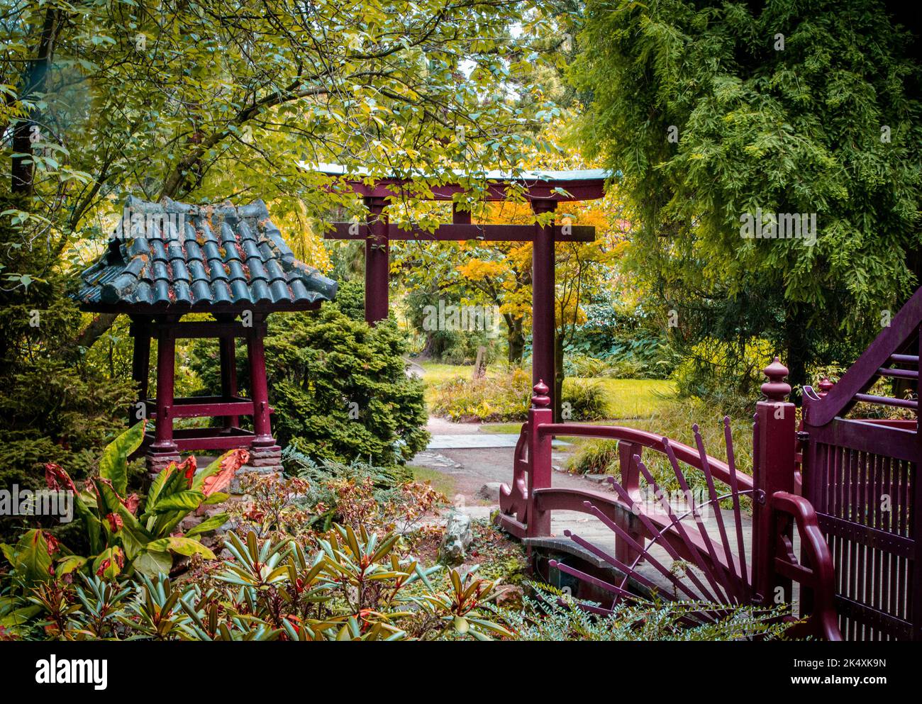 Colorful autumn landscape in the Japanese Garden in Leverkusen Stock