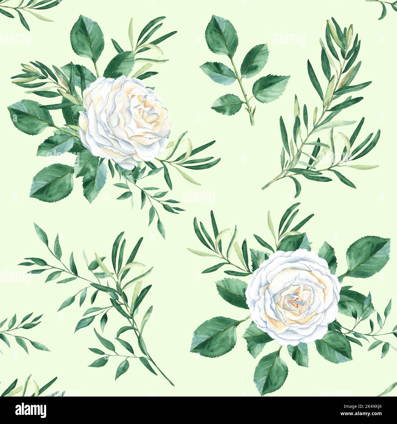 Seamless pattern with white roses, olive and pistachio branches on light green background. Watercolor illustration. Rustic style. Can be used for Stock Photo