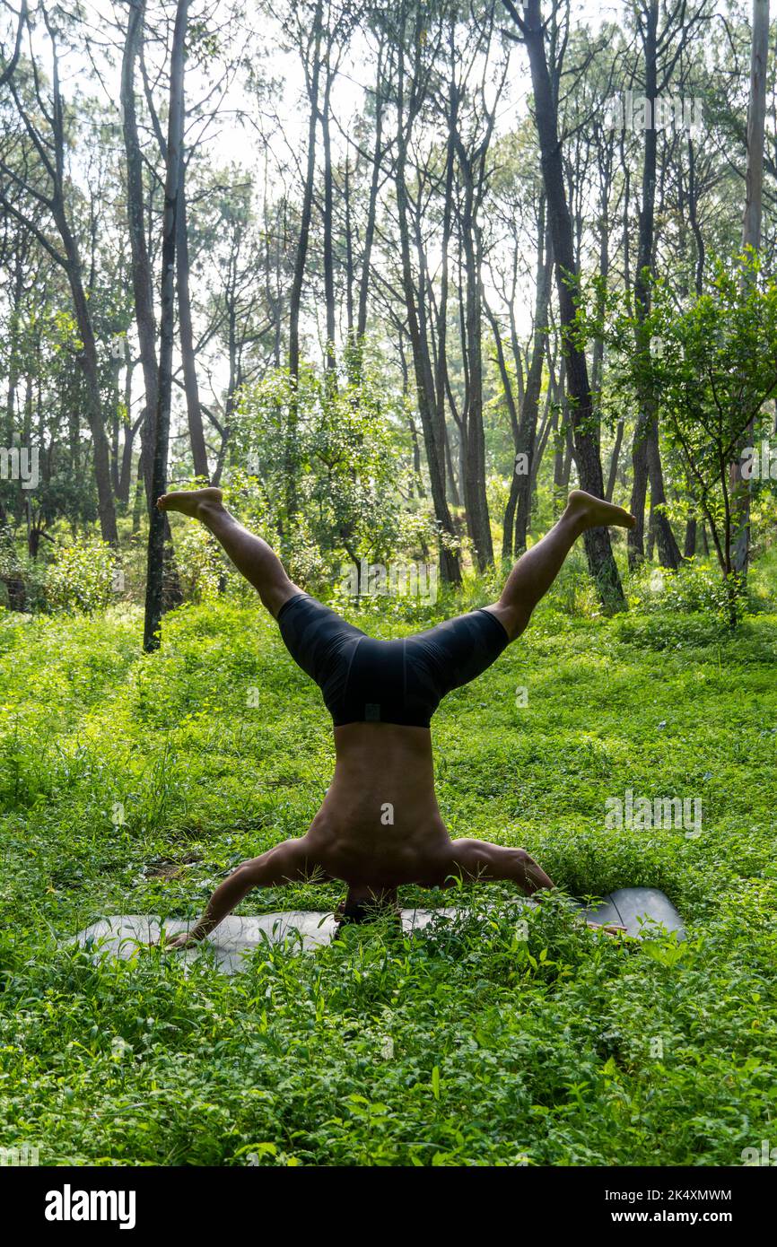 latin american man doing yoga posture, yoga posture, Bee backwards Prsthatah Brahmara, forest Stock Photo