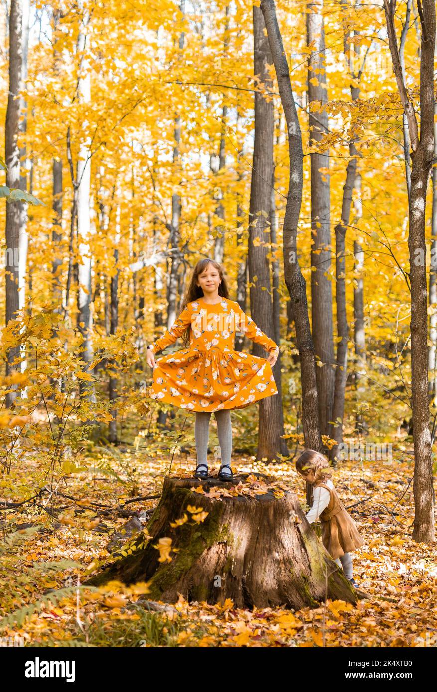 Little kid girl with autumn orange leaves in a park. Lifestyle, fall ...
