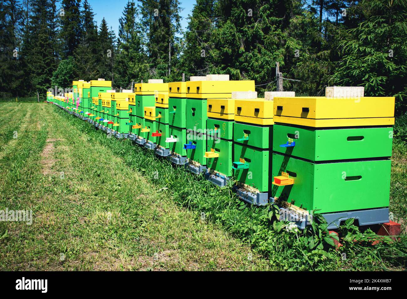 Group of beehives hi-res stock photography and images - Alamy