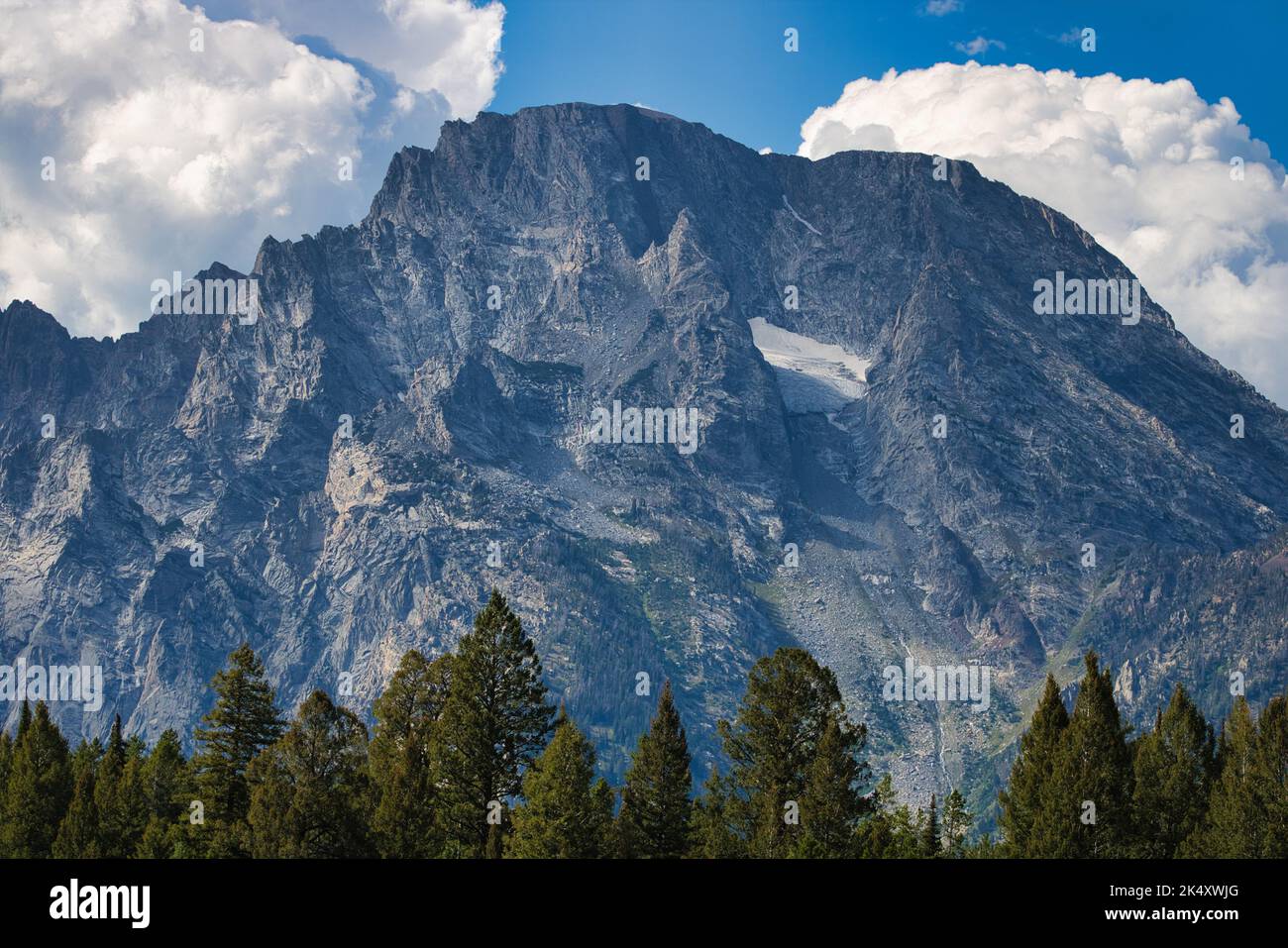 Landscape view of Mount Moran towering over a forest of evergreen trees in Grand Teton National Park. Taken from Cathedral Group turnout. Stock Photo