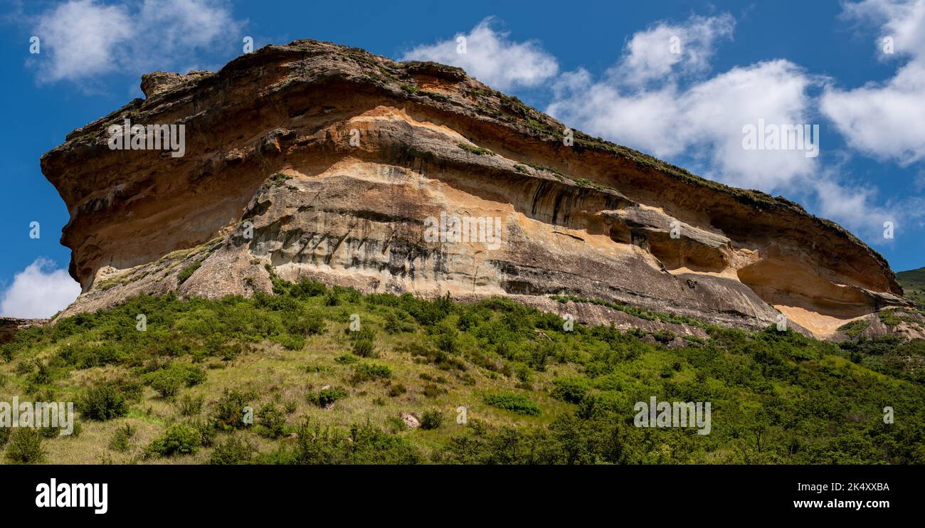 Looking up at the eroded sandstone cliffs on a hiking trail through the Golden Gate Highlands National Park. Near Clarens in the Free State, South Afr Stock Photo