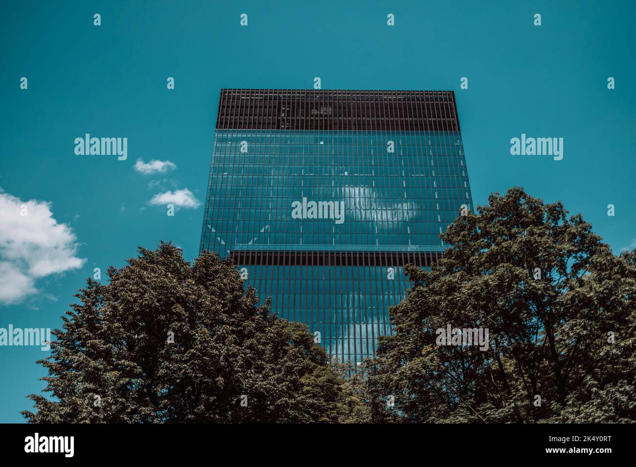 Image showcasing Beautiful garden on rooftop of modern glass building in Europe, concept ...