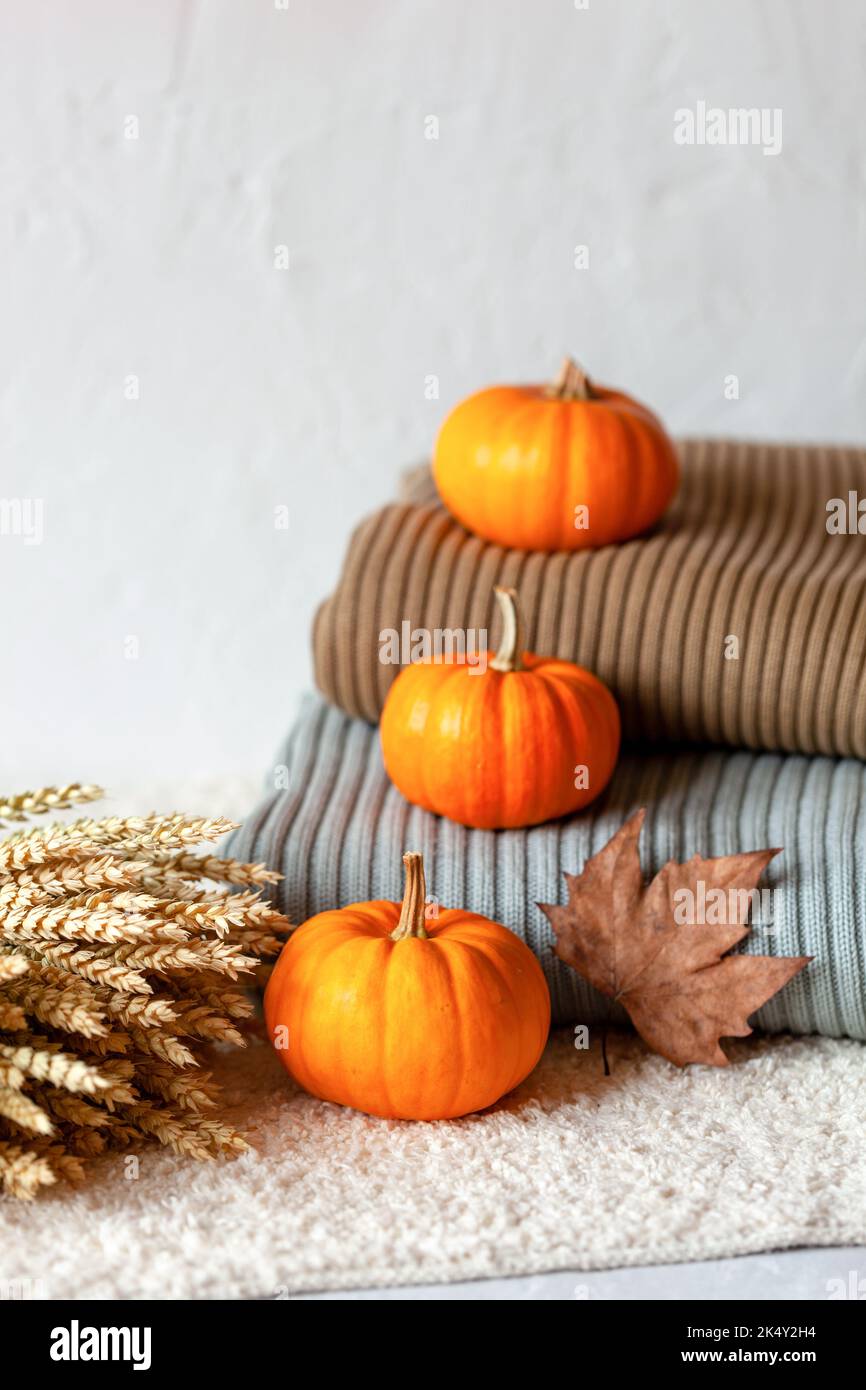 autumn side view composition with mini pumpkins and warm clothes Stock Photo